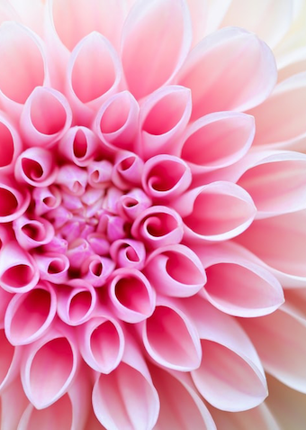 BEAUTY-Universel Hudpleje 2/9 - Klik for at tilmelde dig