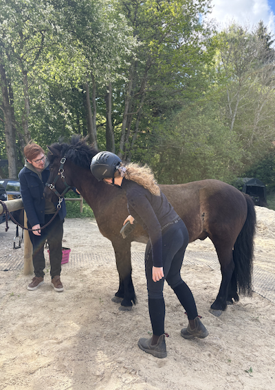 Pige strigler pony